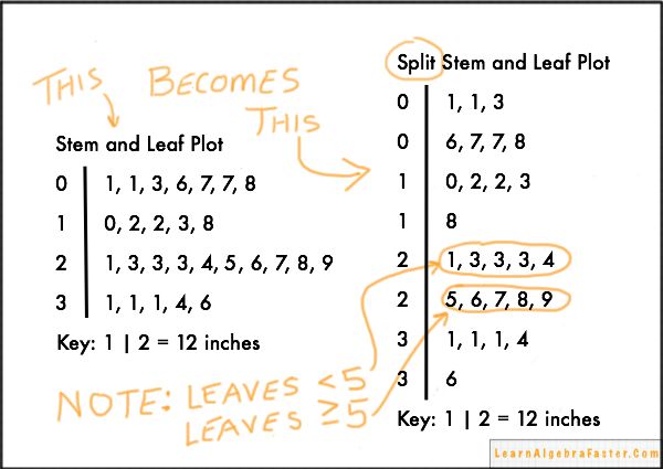 Split Stem And Leaf Plot Learnalgebrafaster Com